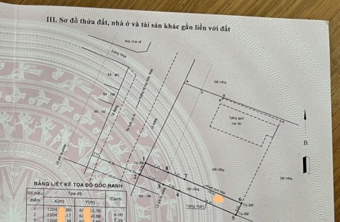 Bán đất mặt tiền Hà Huy Giáp Q12, 123.5m2, nở hậu mỏng, dài 30.86m, Đ. 10m giá 9.x tỷ